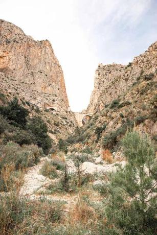 Dúplex en Maryvilla