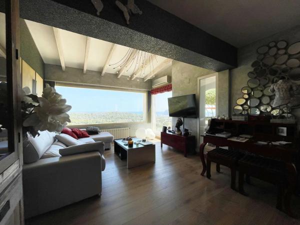 Casa independiente en Partida la Empedrola