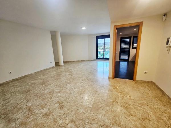 Piso en avenida Diputación