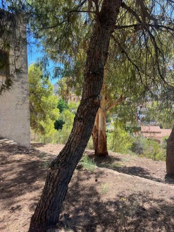 Casa independiente en Urbanización Canuta de Ifach, 38 f