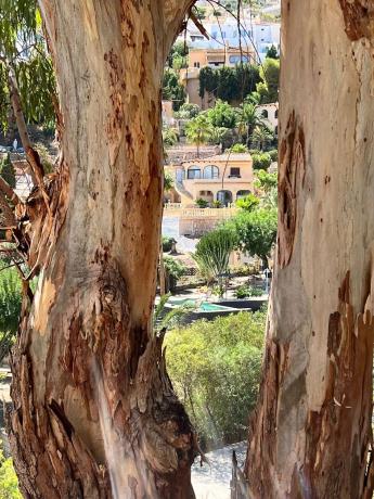 Casa independiente en Urbanización Canuta de Ifach, 38 f