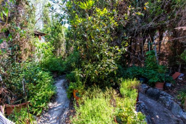 Chalet en Cometa-Carrió