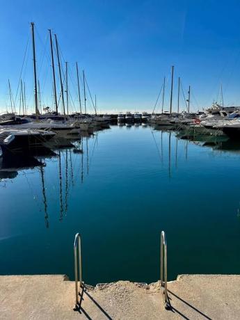 Dúplex en Girasoles