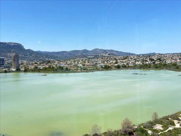 Piso en avenida Juan Carlos I