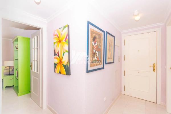 Piso en avenida Juan Carlos I