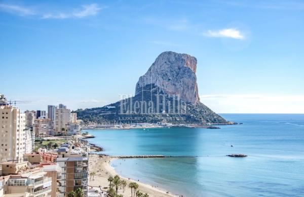 Ático en calle Alemania