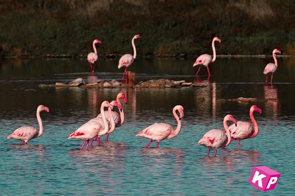 Piso en calle de Sant Antoni