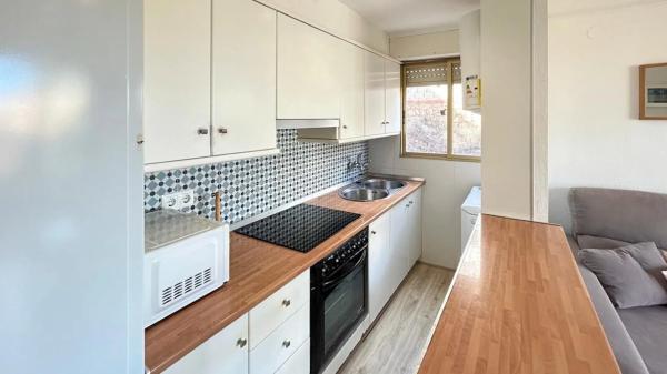 Piso en avenida Oscar Espla