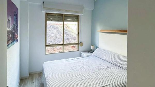 Piso en avenida Oscar Espla