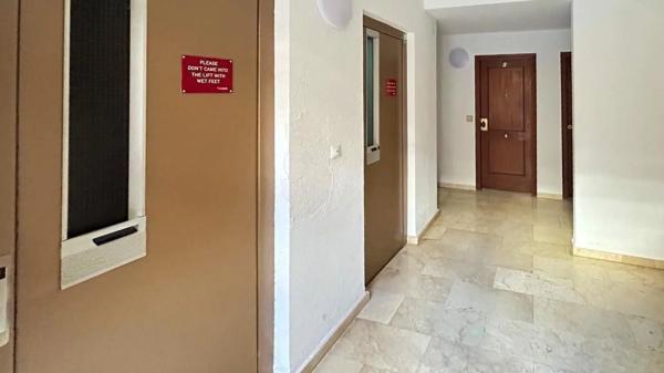 Piso en avenida Oscar Espla