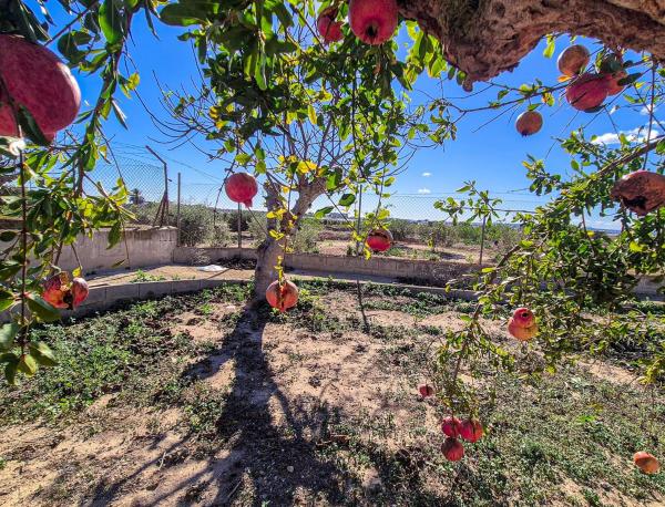 Casa independiente en punta la sierra, 59