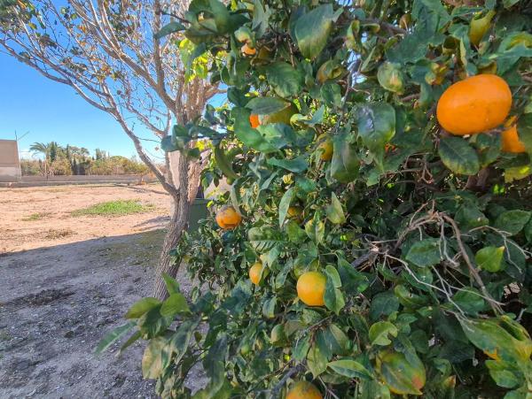 Casa independiente en punta la sierra, 59