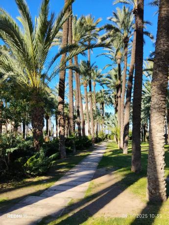 Estudio en calle Ramón y Cajal, 8