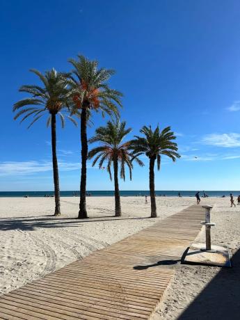 Piso en avenida Vicente Blasco Ibañez, 18