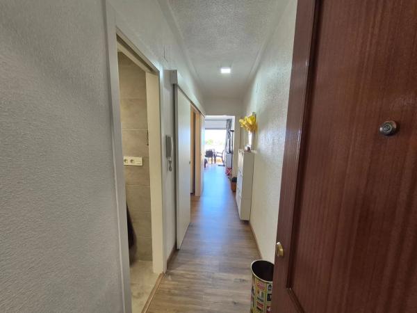 Piso en avenida Catalanet, 6