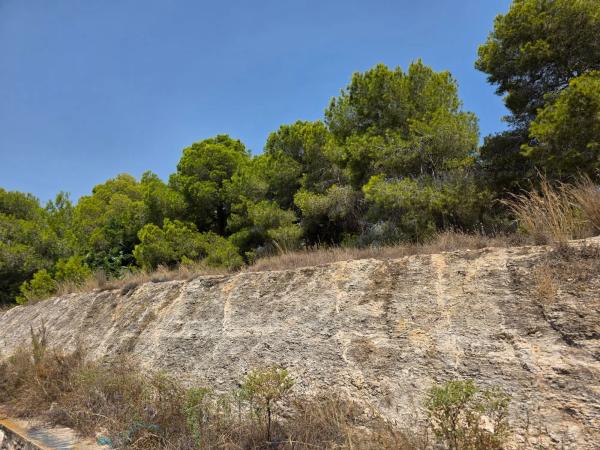 Piso en calle de la Victoria, 127