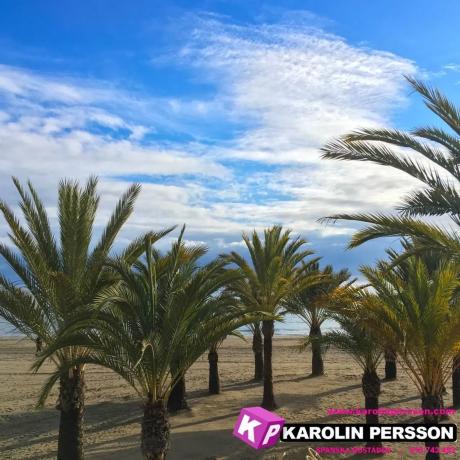 Piso en calle Dean Llopez