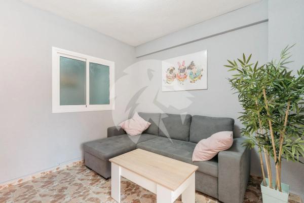 Piso en avenida Vicente Blasco Ibañez