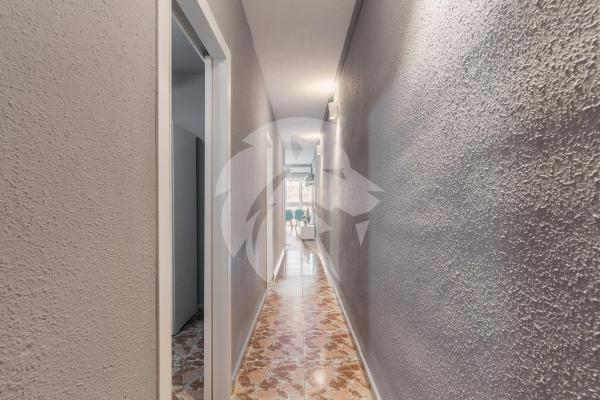 Piso en avenida Vicente Blasco Ibañez