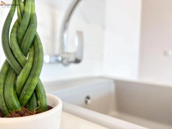 Piso en avenida Catalanet