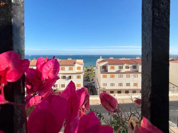 Piso en avenida Catalanet