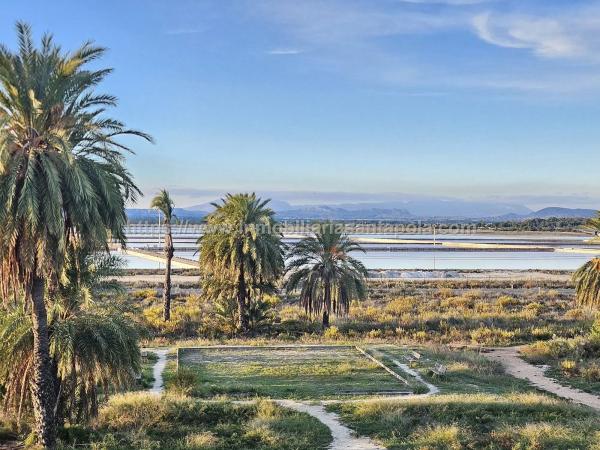 Piso en Tamarit - Playa Lissa