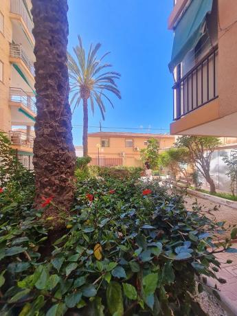 Piso en calle Yecla s/n