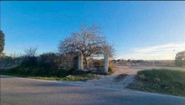 Finca rústica en Partida la Rinconada Cv920, 12