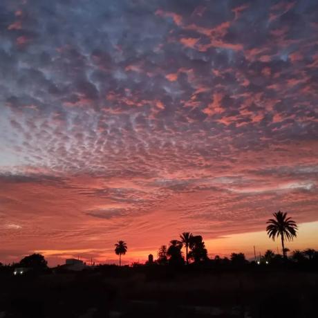 Finca rústica en Partida la Rinconada Cv920, 12