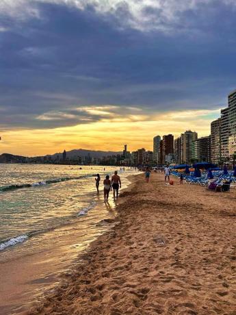 Finca rústica en Partida la Rinconada Cv920, 12