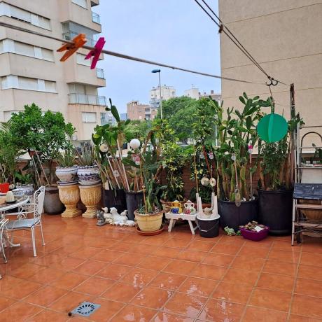 Piso en CL Rio Segura