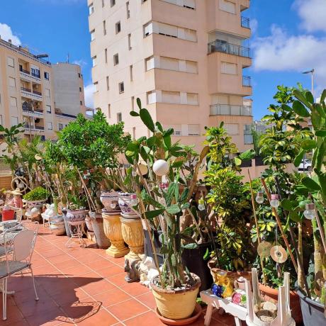 Piso en CL Rio Segura