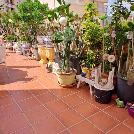 Piso en CL Rio Segura