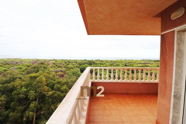 Ático en CL Alc Rosalino Perez Hdez