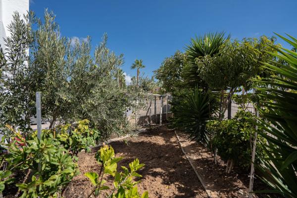 Piso en calle La Malva Rosa