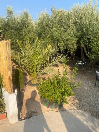 Finca rústica en Campo, 186