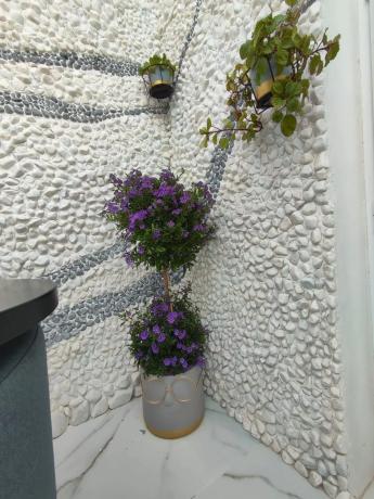 Piso en calle Ausiàs March