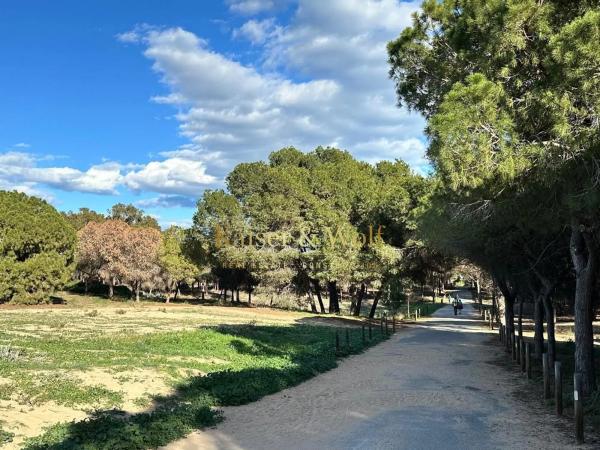 Piso en calle La Traïña