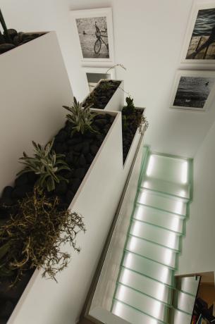 Amay Deluxe Modelo Marta