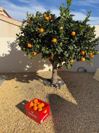 Chalet en calle Africa, 5