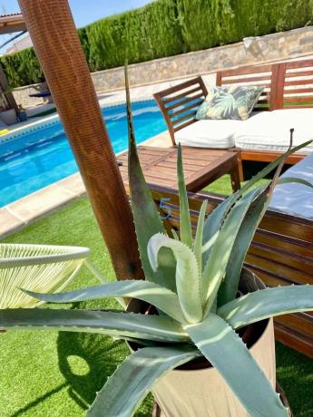 Chalet en Ciudad Quesada