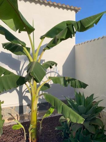 Chalet en Ciudad Quesada