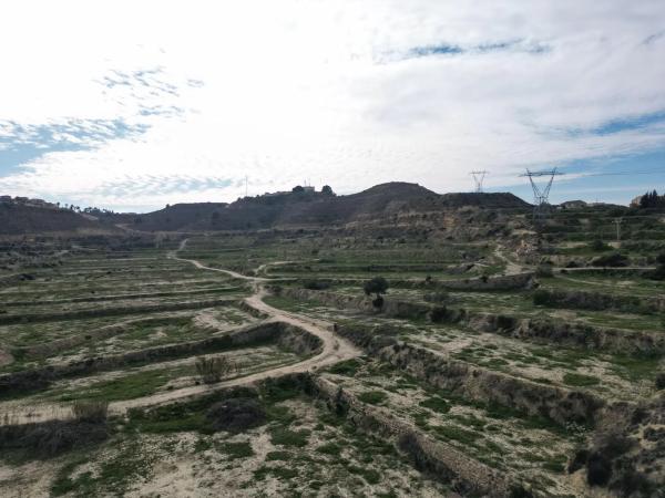 Chalet pareado en calle Romero