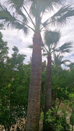 Finca rústica en Partida Cautivador, 40