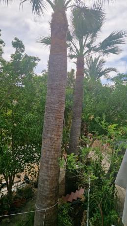 Finca rústica en Partida Cautivador, 40