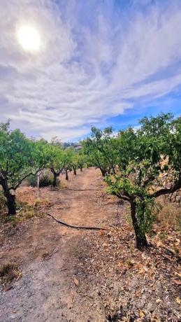 Finca rústica en Partida Cautivador, 40
