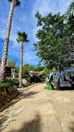 Finca rústica en Partida Cautivador, 40