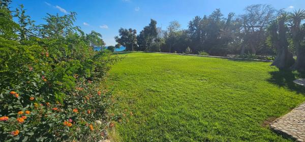 Finca rústica en Partida Cap