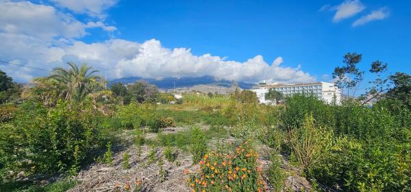 Finca rústica en Partida Cap