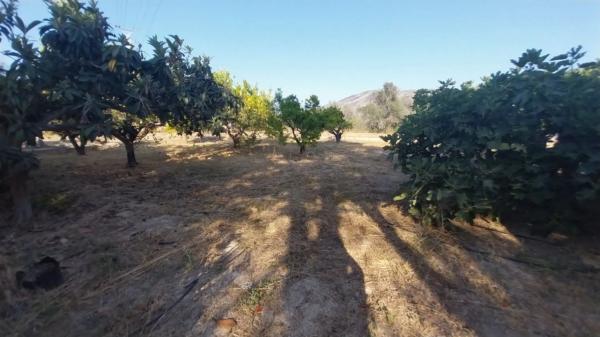 Casa independiente en camino Vell de L`Alfaz